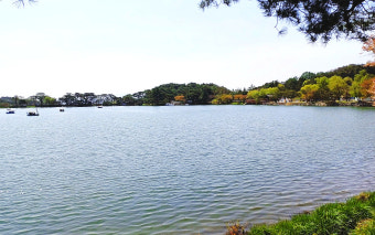 제천 의림지
