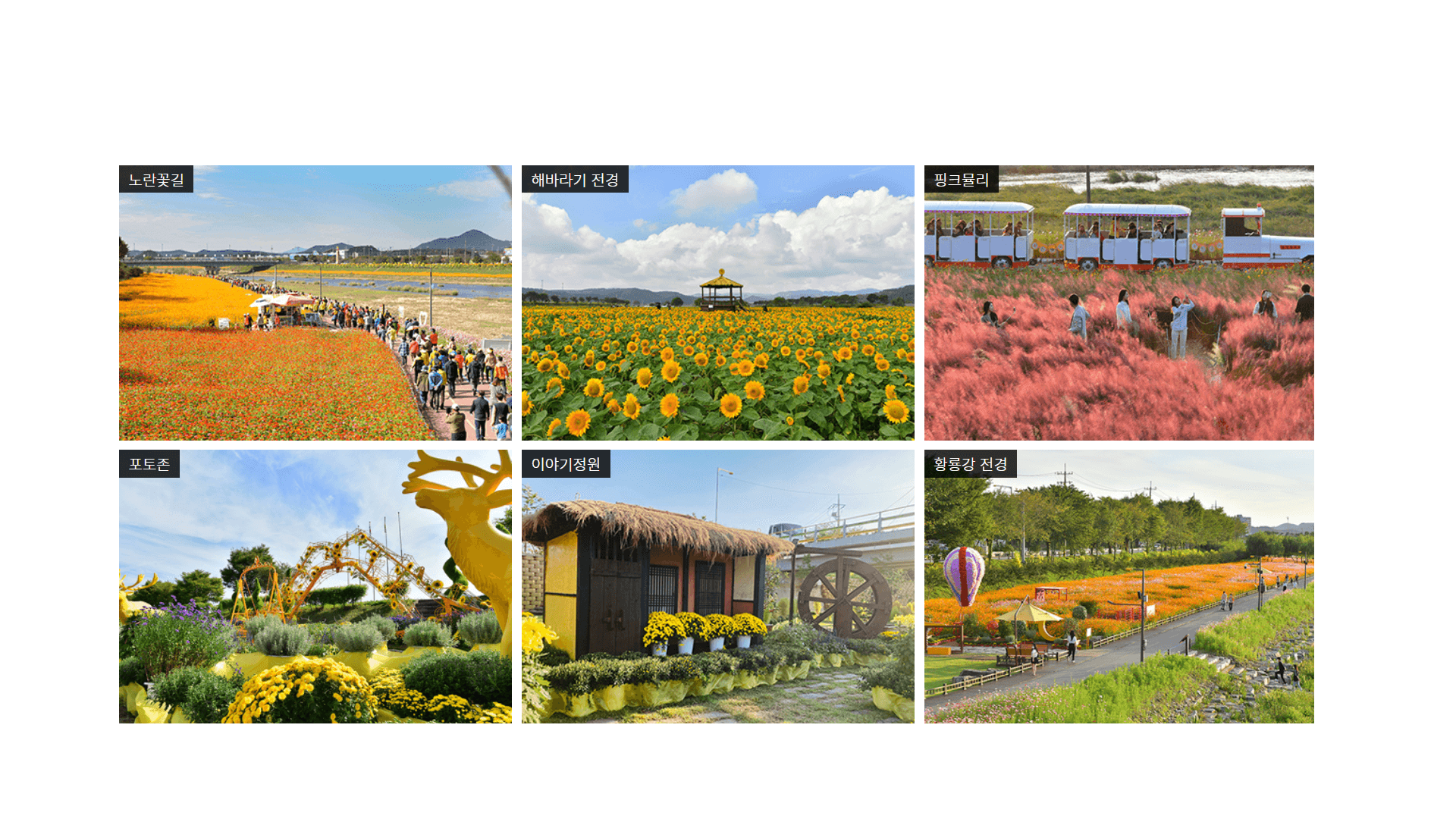 2025 장성 황룡강 꽃축제, 10월 18일(토)~ 10월 26일(일)관련사진