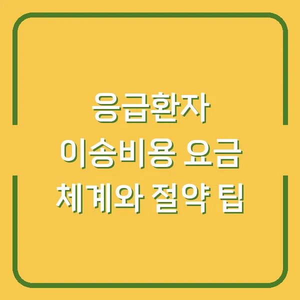 응급환자 이송비용 요금 체계와 절약 팁