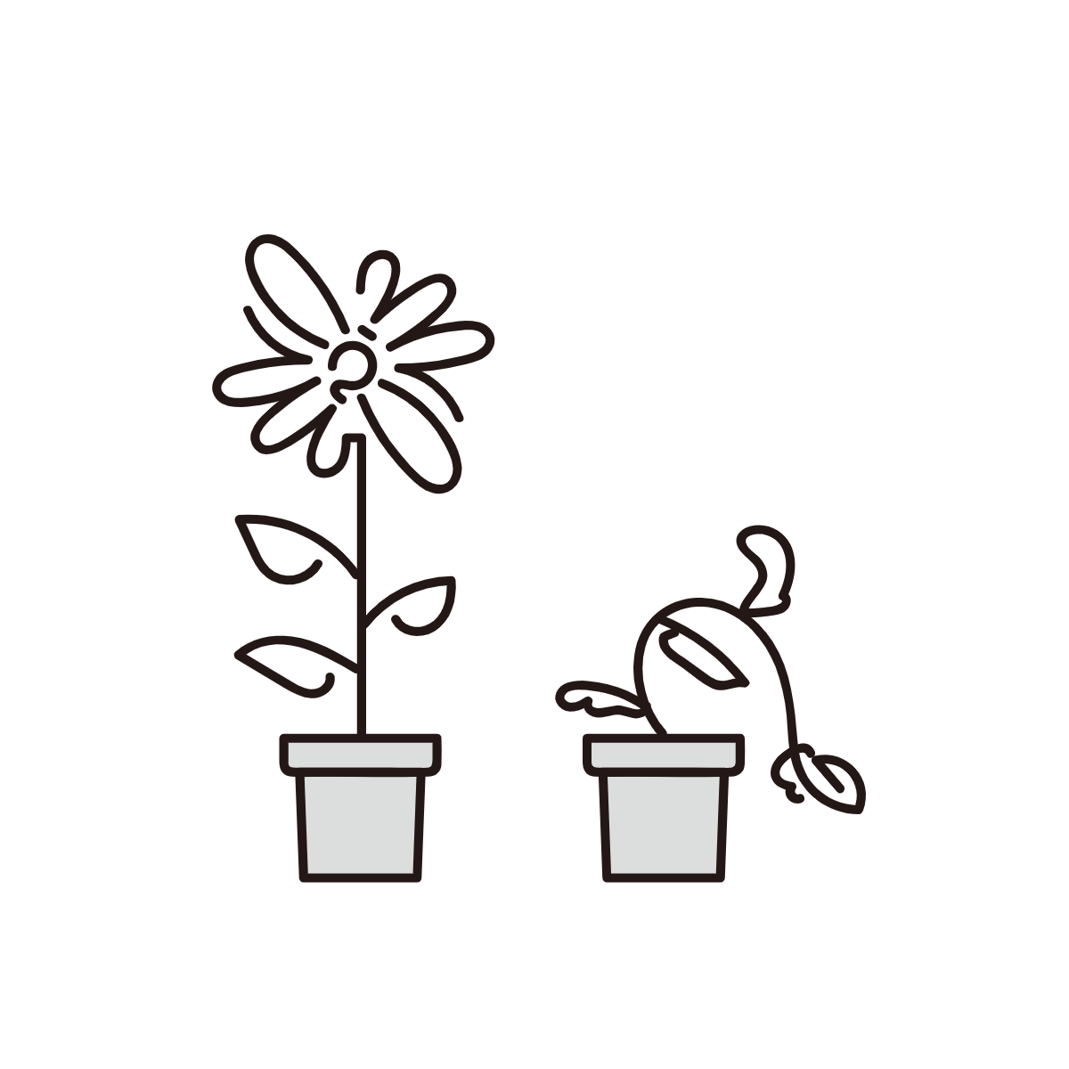 당뇨수치