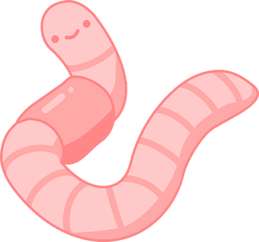 ์ง๋ ์ด ํค์ฐ๊ธฐ ใ
ฃ ์ง๋ ์ด ํค์ธ ๋ ์ฃผ์์ 