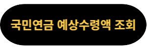 국민연금 예상연금액 조회