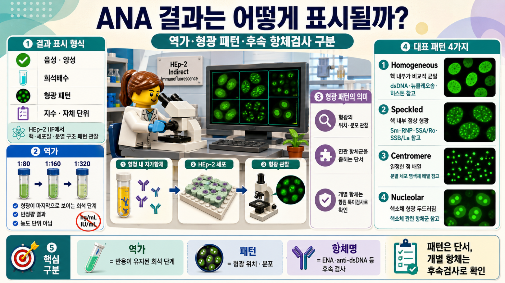 ANA 결과 표시 형식과 역가, 형광 패턴, 대표 패턴 4가지를 정리한 레고 스타일 인포그래픽