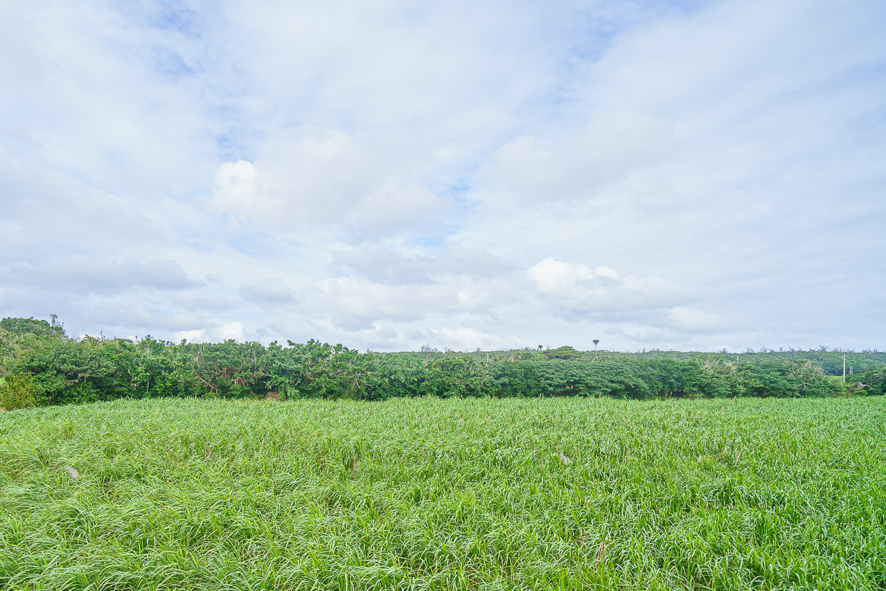 Minamidaito Island: A Remote Pacific Island in Okinawa — original photograph 9