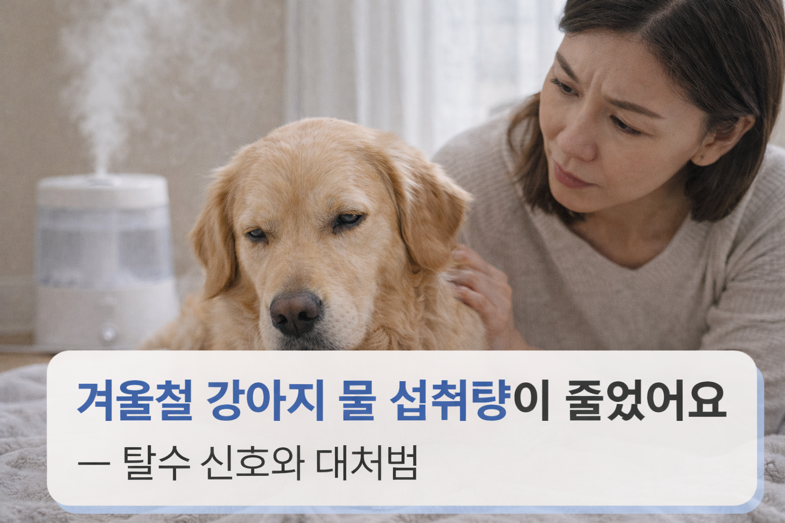 alt="겨울 실내에서 물그릇 앞에 앉아 있는 강아지"