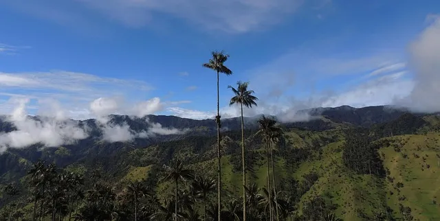 쏘렌토 계기판 경고등 종류 알아보기 자료집_6