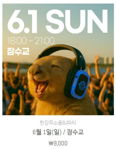 2025 잠수교 뚜벅뚜벅 축제 무소임 디제잉 6월 1일 예약하기