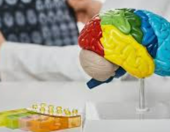 물건을 자주 잃어버려요