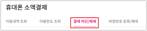  3사 통신사 소액결제 차단 방법 총정리 (2025 최신판)