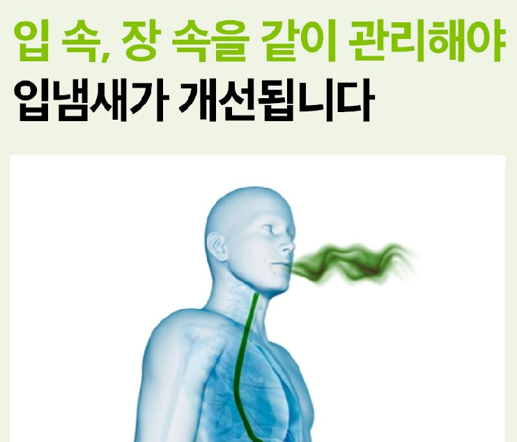 레프제로 구강유산균 추천 