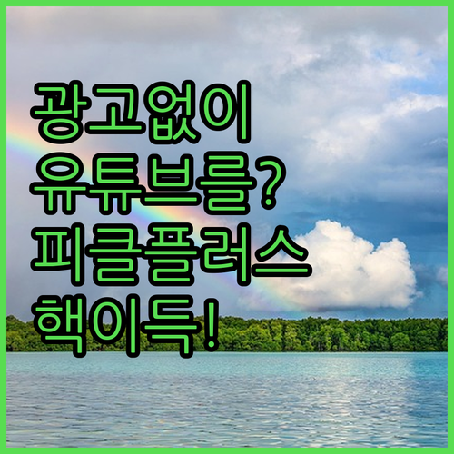 광고없이 유튜브 보는법 피클플러스 할..