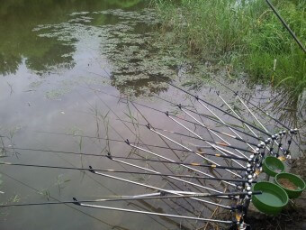 저수지에서-민물-낚시대를-사방으로-10개-펴놓고-기다리는-강태공