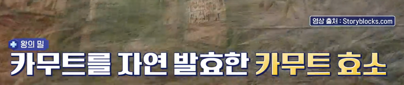카무트 효소