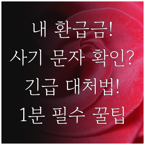 국세청 환급금 문자 진위확인 서비스 ..