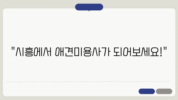 시흥 애견미용사 자격증 한국애견연맹 알아보기