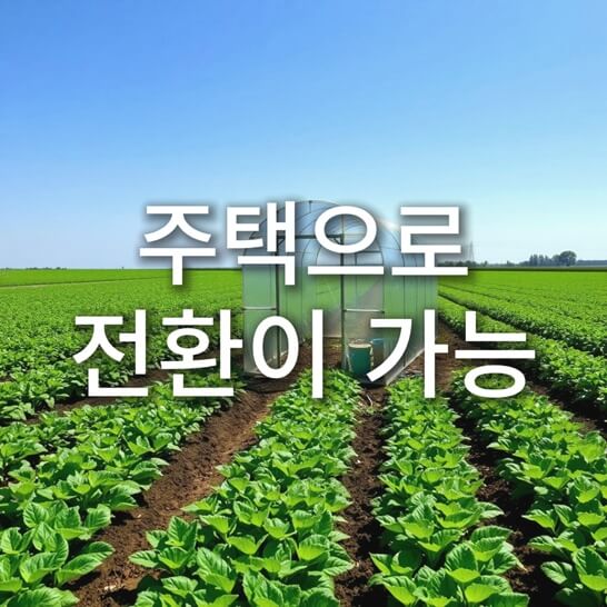 비닐-집