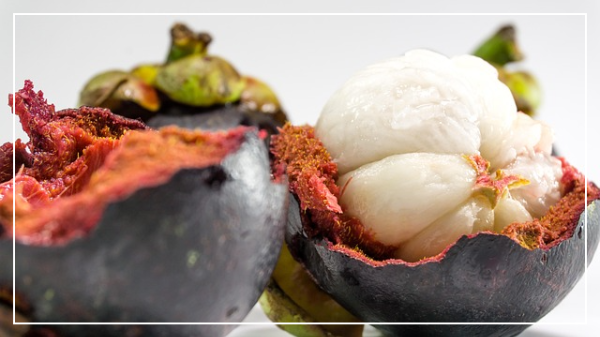 망고스틴의 효능과 효과