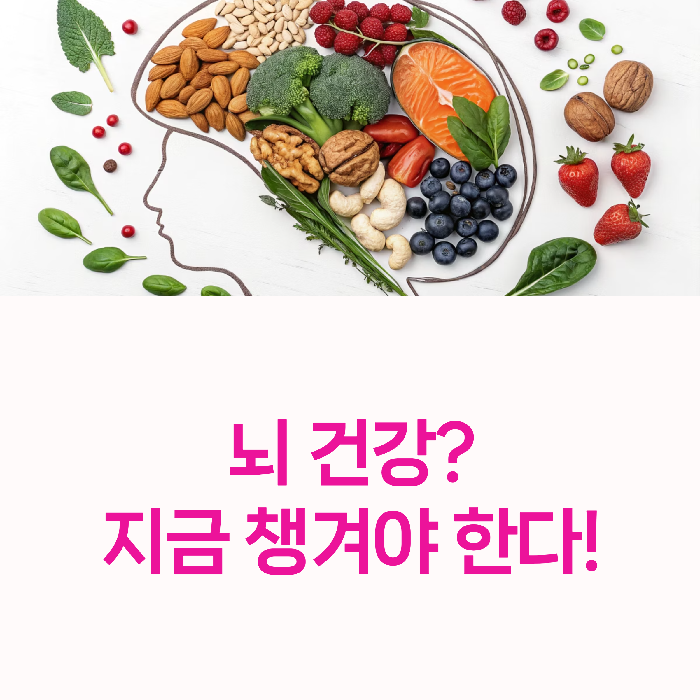 뇌 건강 음식,
