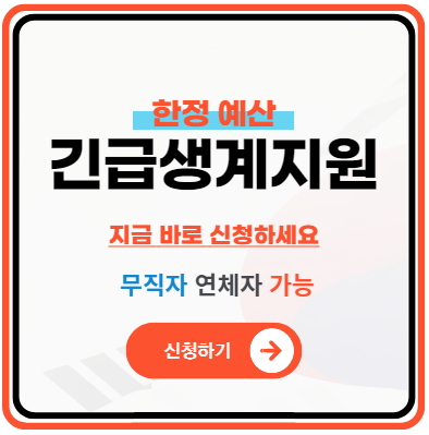 정부지원 긴급 소액생계비대출