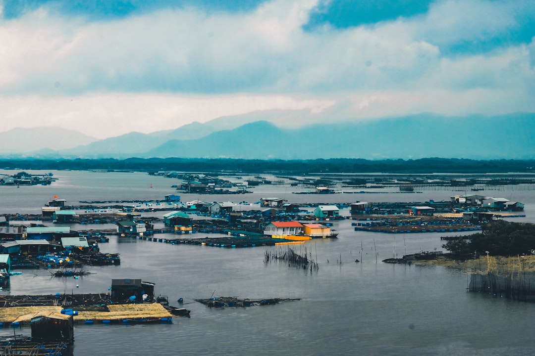 Flood