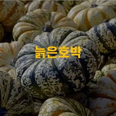 늙은호박