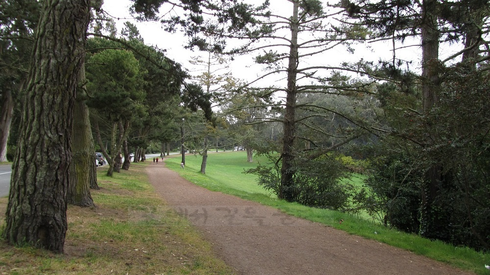 금문공원(Golden Gate Park)
