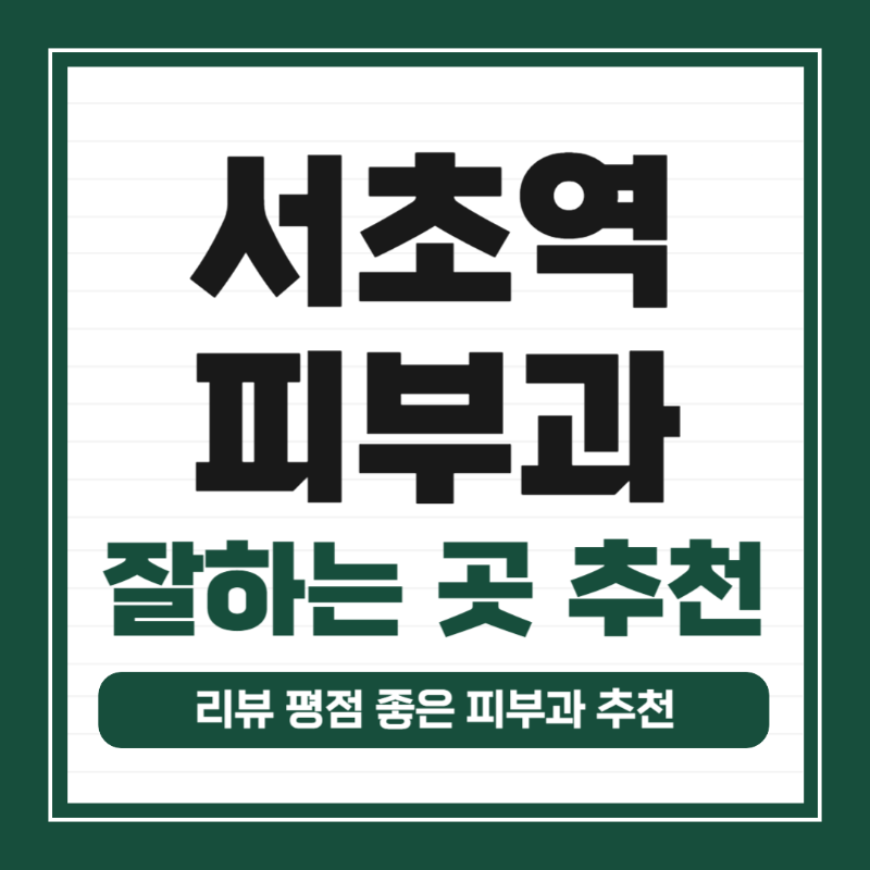 서초역 피부과 유명한 곳 전문의 병원 추천 모공 레이저 잘하는 곳 TOP 5