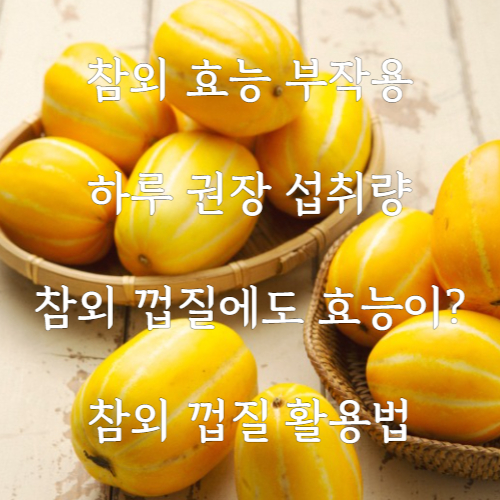 참외 효능 부작용 참외껍질 효능 참외껍질 활용법