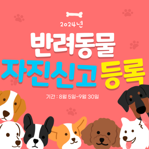 반려견 자진신고 등록
