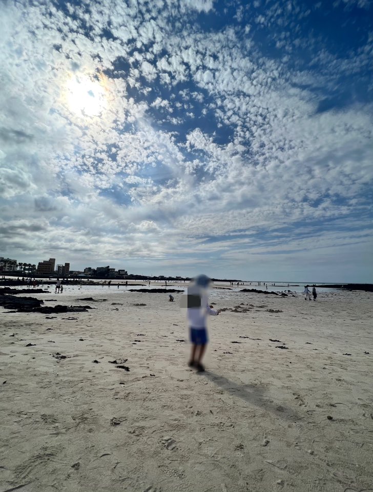 제주도 날씨 가볼만한 곳 항공권 렌트카 여행코스 준비물 기내반입 김포공항 제주 맛집 기내반입 9월 10월 11월 날씨 여행지 추천 수화물 제주 렌터카 셔틀버스 최저가 비교사이트 제주 렌터카 최저가 비교사이트 할인 제주도 렌터카 할인