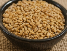 맥주효모의 효능