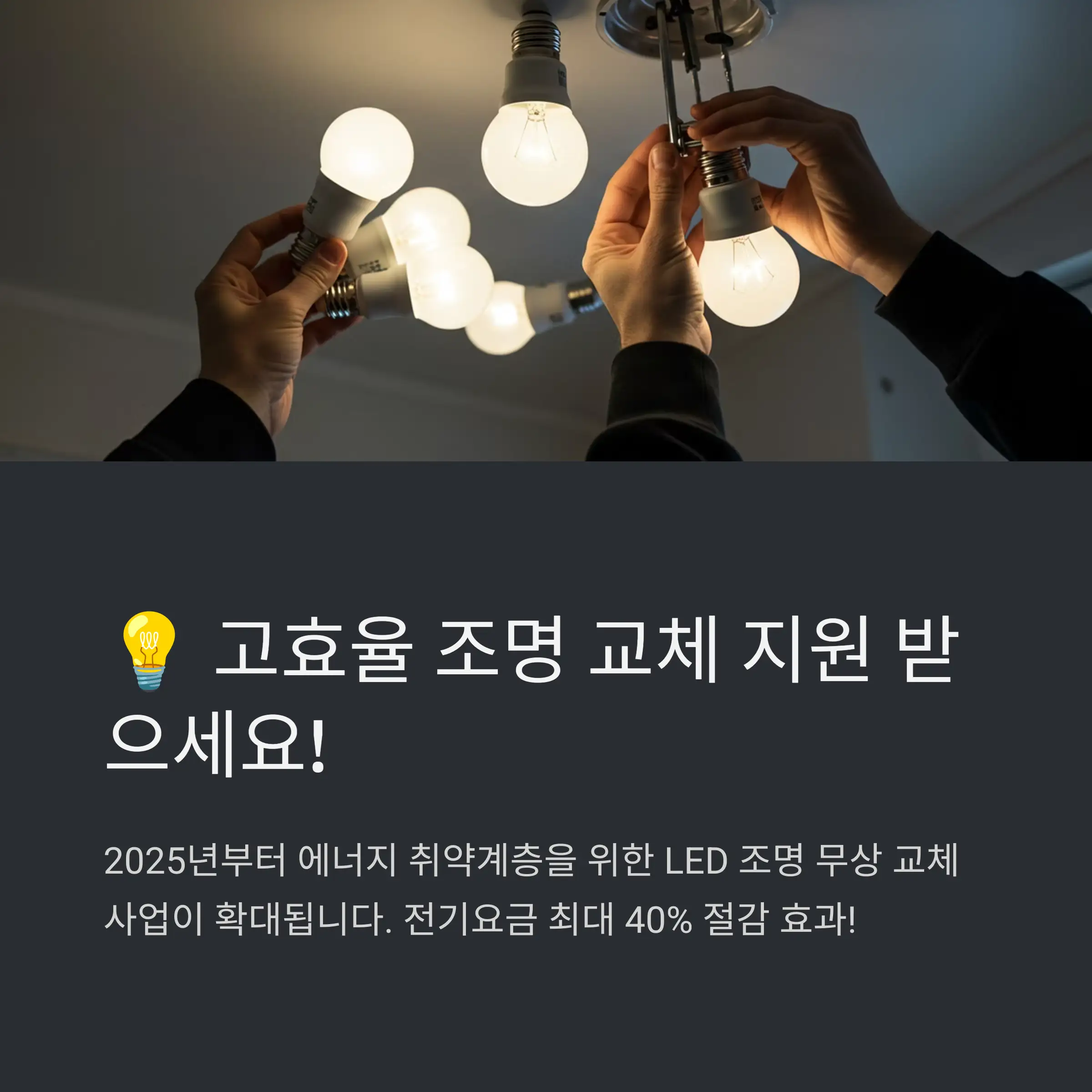 지원 제도 개요 💡