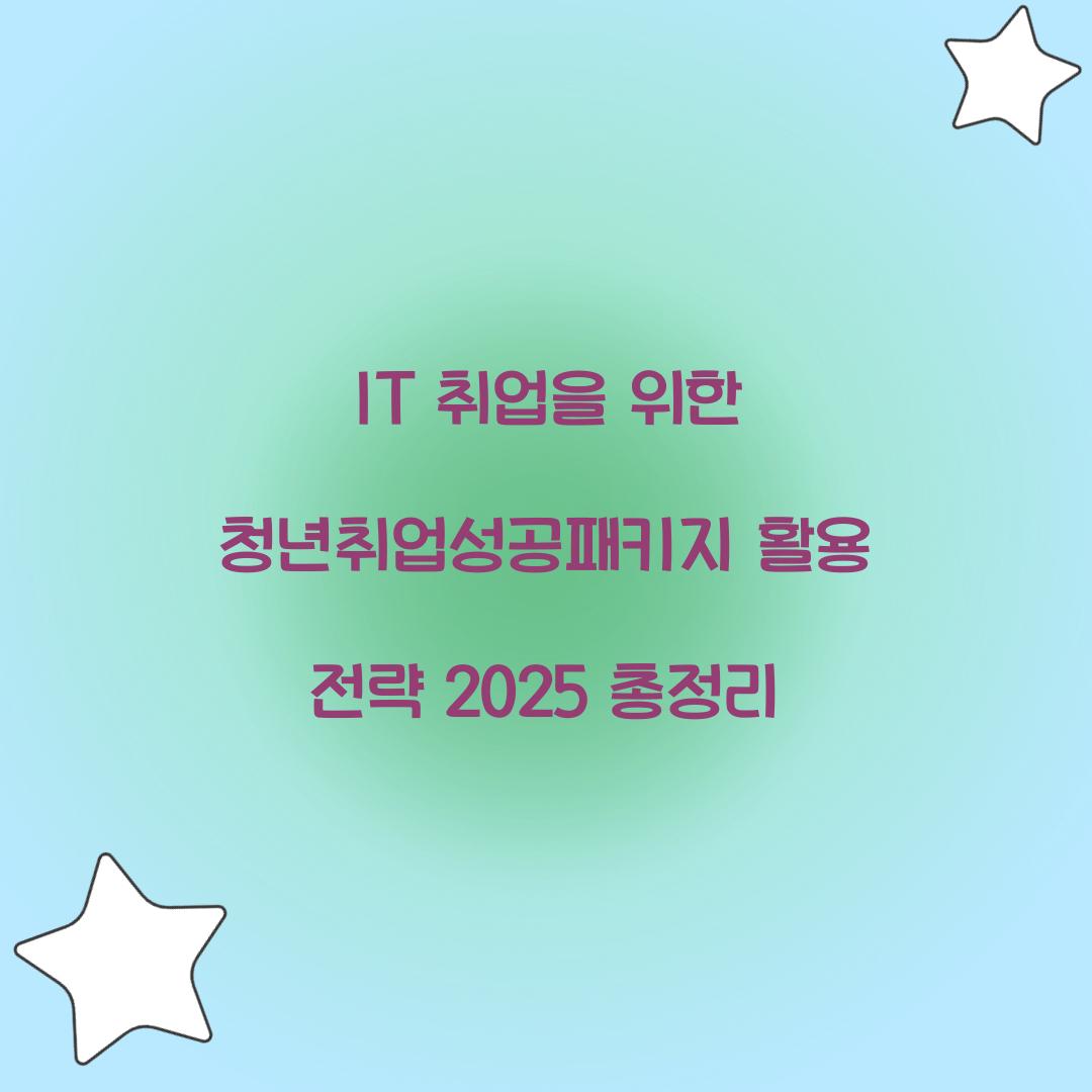 IT 취업을 위한 청년취업성공패키지 활용 전략