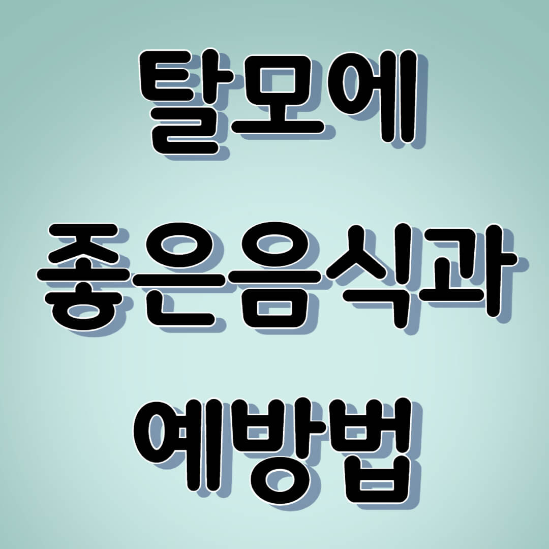 탈모-좋은음식-예방법