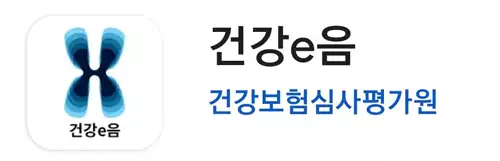 건강심사평가원 모바일 '건강e음' 앱