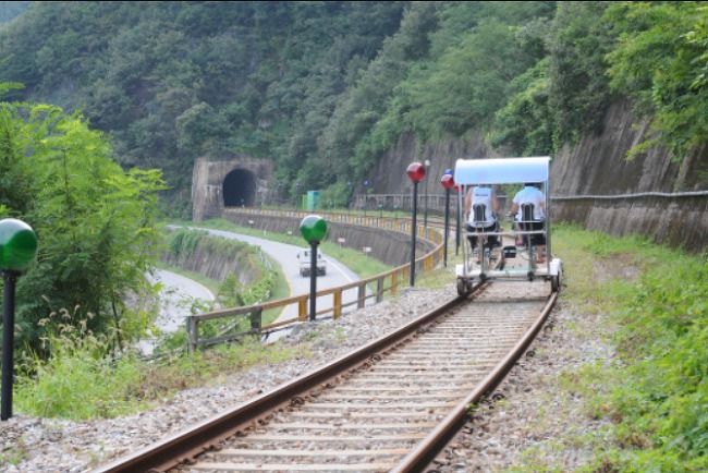 세미원 연꽃축제와 양평 가볼만한 곳 추천