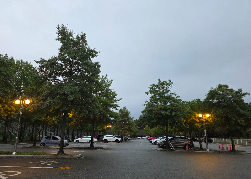 나무 사이에 차량이 주차되어 있다.