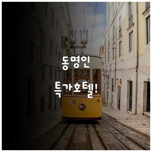쇼핑 비즈니스 여행 완벽 대비 동대문..