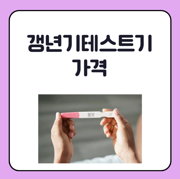 갱년기테스트기 가격