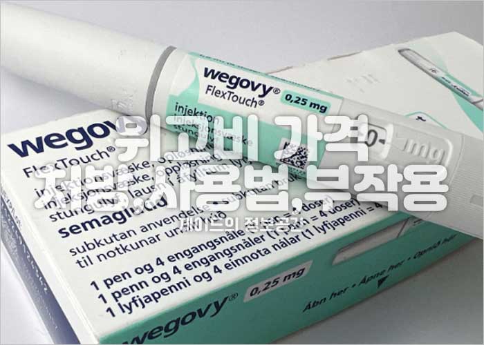 위고비 가격, 국내 출시, 처방, 사용법, 부작용