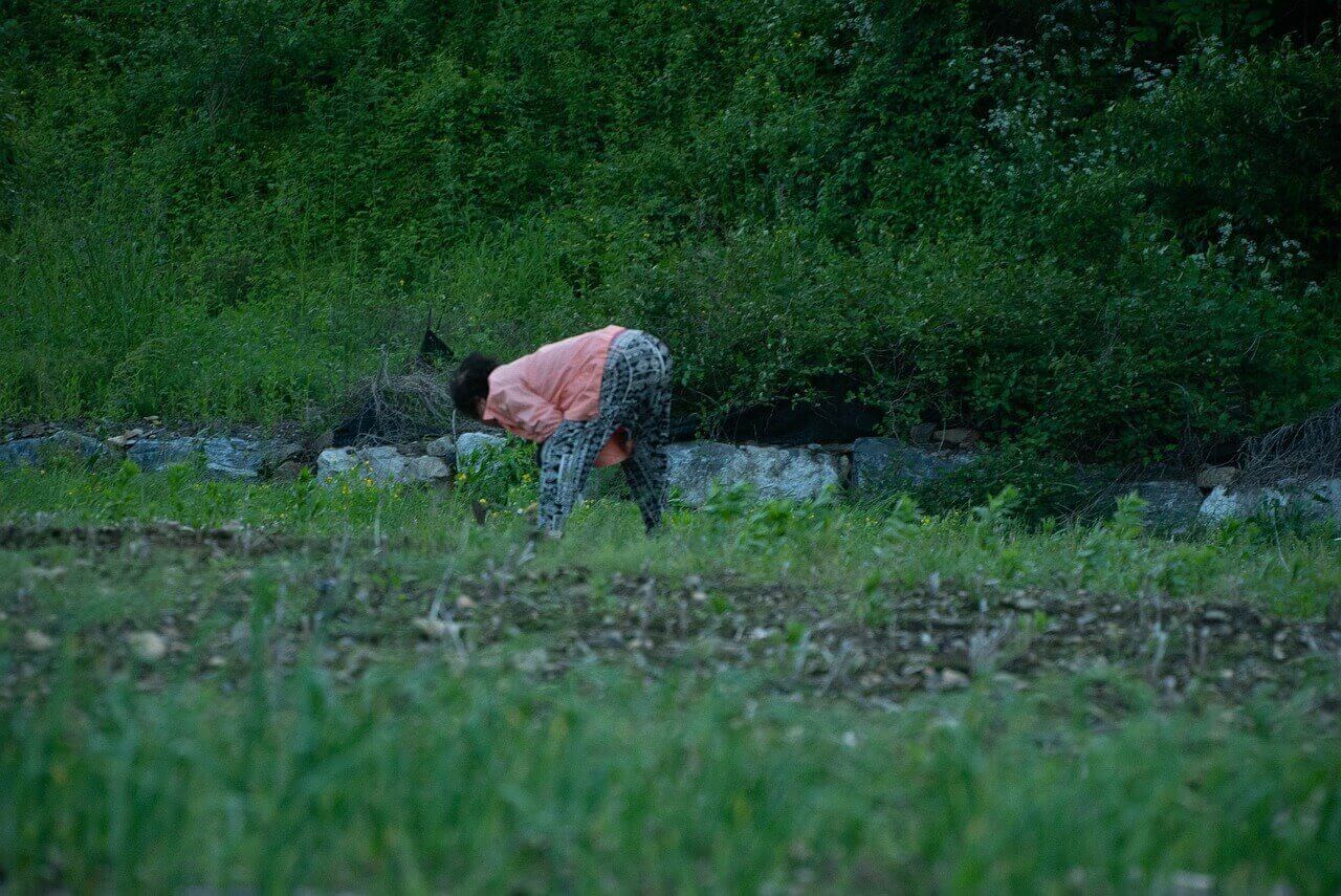 농지 연금 신청 대상 신청 방법 가이드