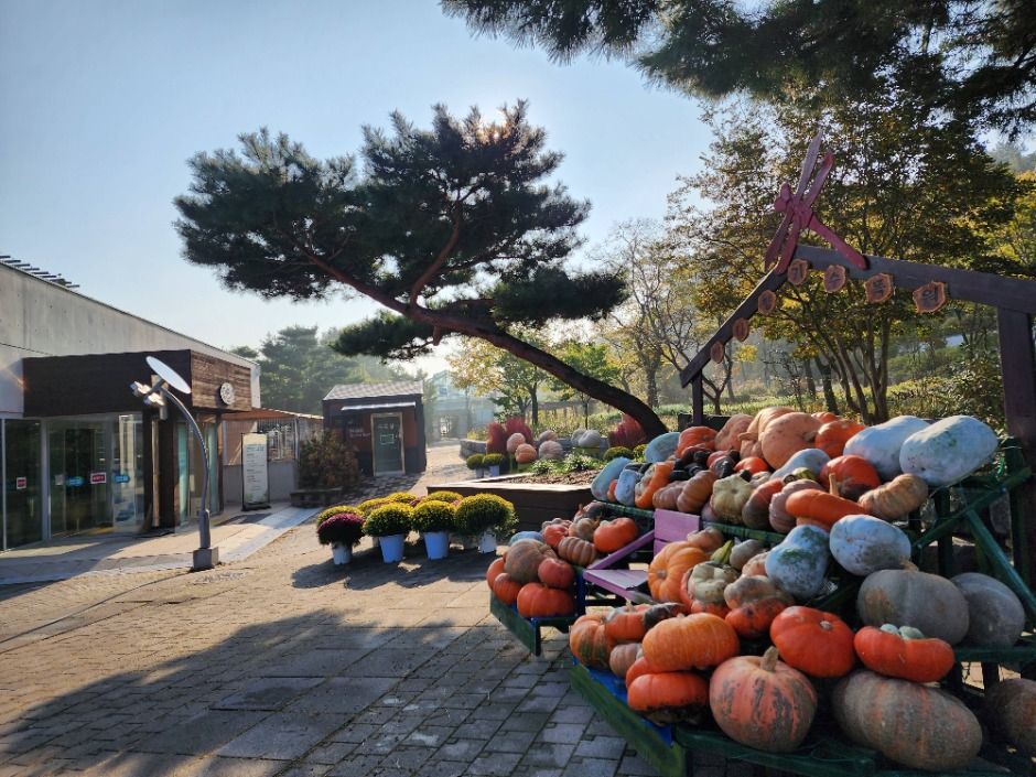 안산 가볼만한곳 베스트10