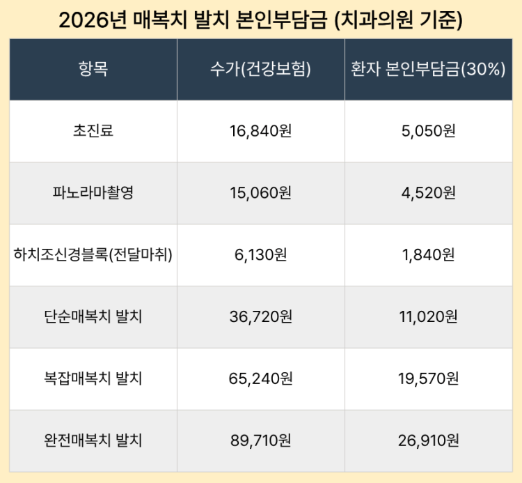 2026년 기준 매복 사랑니 발치 본인부담금