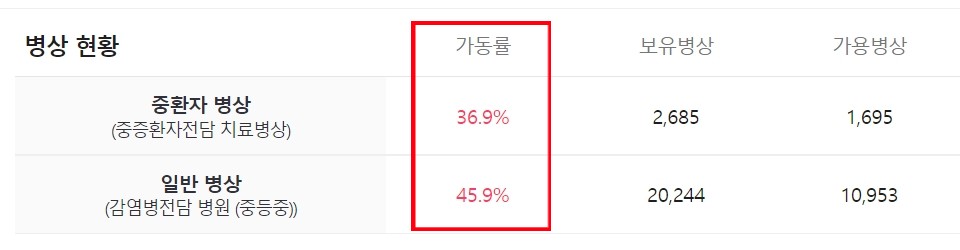 코로나 확진자 현황