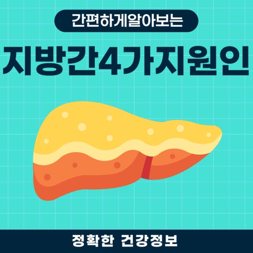 지방간이 생기는 진짜 원인