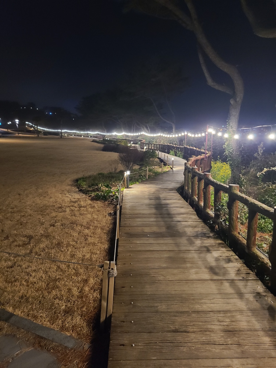 제주 여행 파르나스 호텔 제주