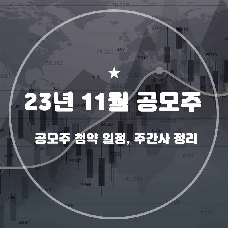 11월-공모주-청약-일정