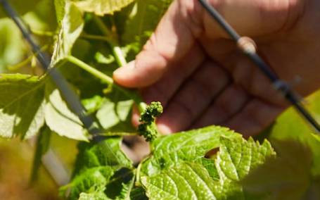 2025 처서 날짜·뜻 총정리|‘처서 매직’은 뭘까? 올해 전망까지