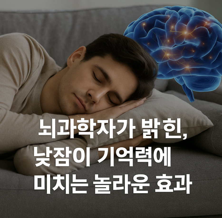 뇌과학자가 밝힌, 낮잠이 기억력에 미치는 놀라운 효과
