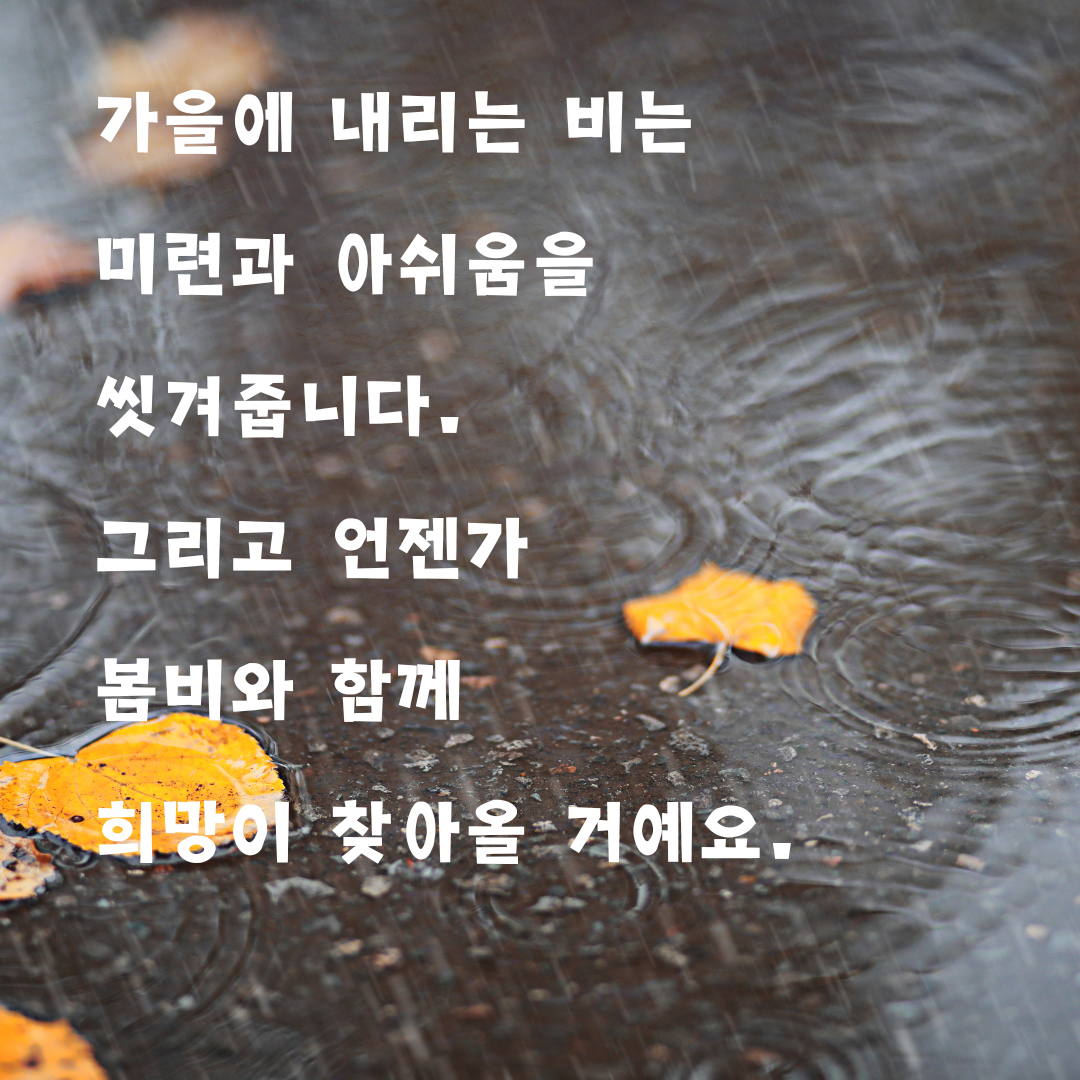가을비 내리는 날 인사말 이미지 문구 모음